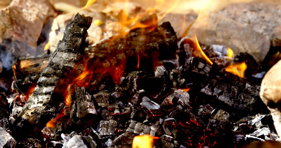 Close-up of Burning Logs in Outdoor Campfire - Free Images, Stock Photos and Pictures on Pikwizard.com