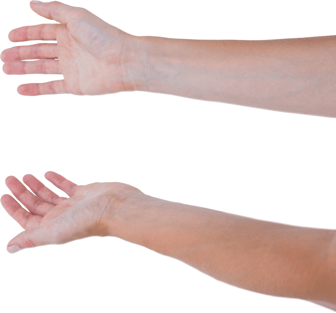 Transparent Hands Open Gesture Presentation