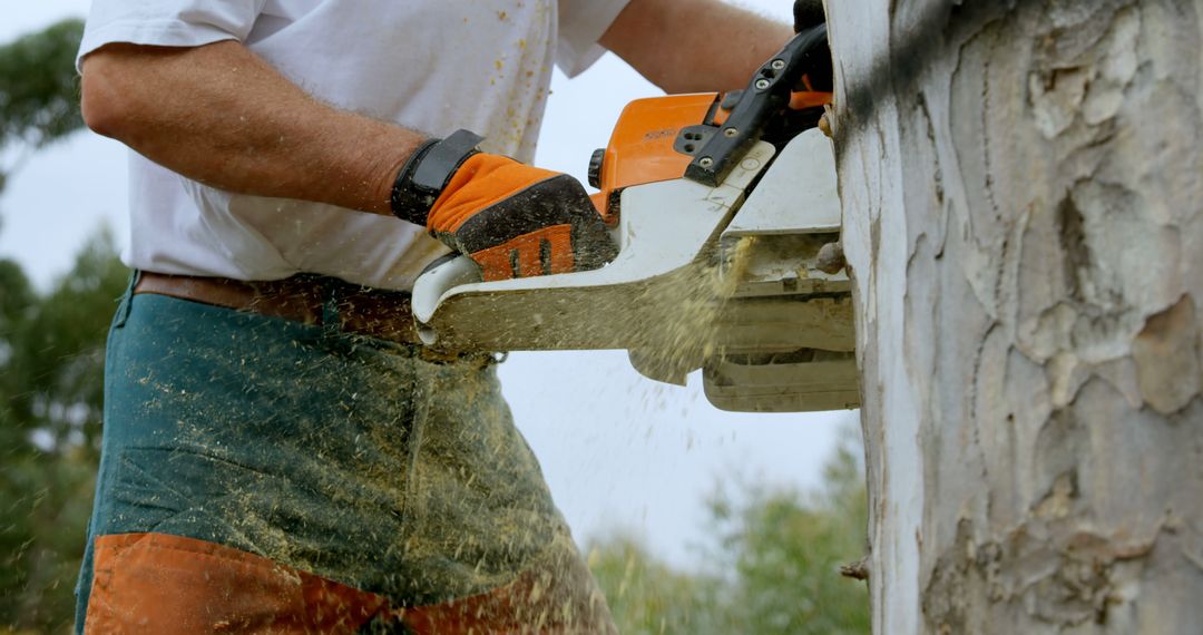 Lumberjack Using Chainsaw to Cut Tree Trunk Outdoors - Free Images, Stock Photos and Pictures on Pikwizard.com