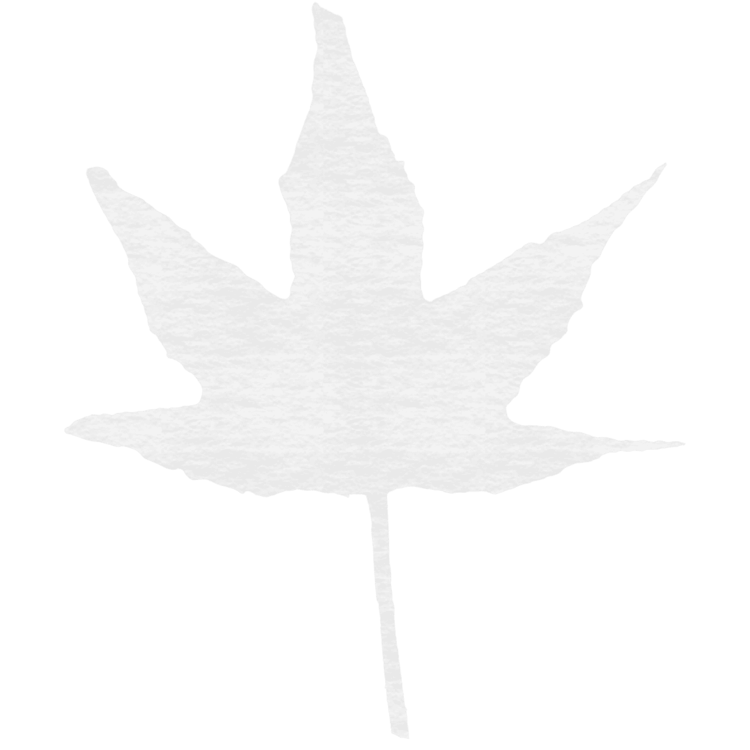 Transparent Maple Leaf Silhouette with Textured Details