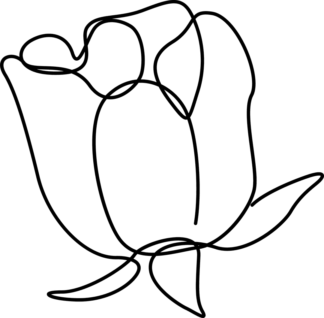 Minimalist Line Art Tulip on Transparent Background with Delicate Details