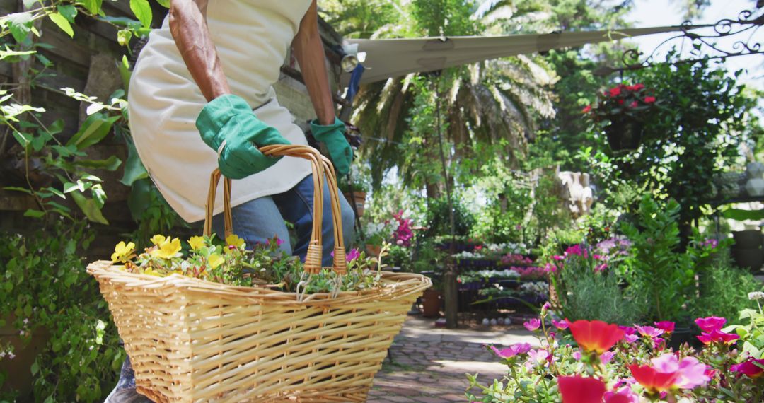 Senior Woman Gardening with Wicker Basket Filled with Flowers on Sunny Day - Free Images, Stock Photos and Pictures on Pikwizard.com