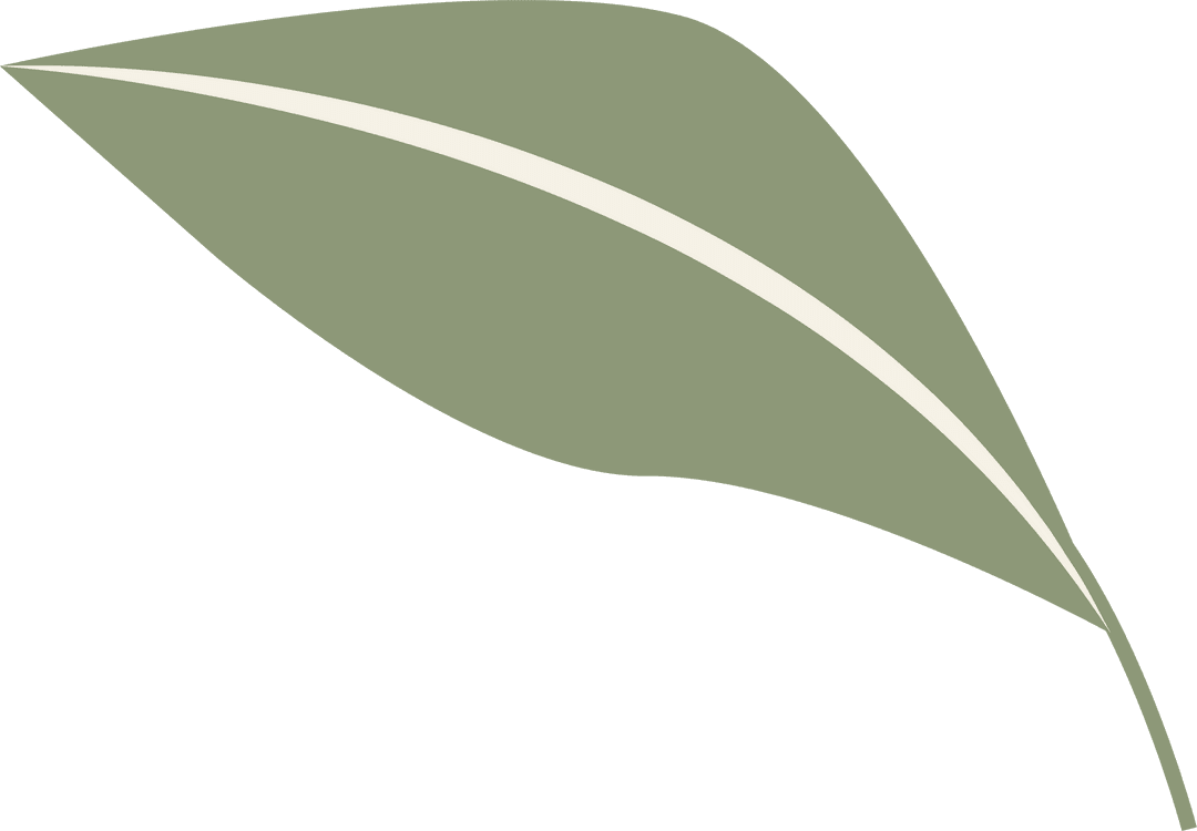 Transparent Green Leaf with Minimalist Design