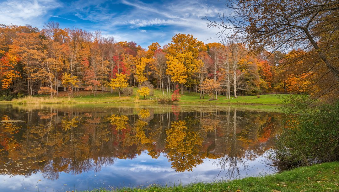 Serene Autumn Pond with Colorful Tree Reflections in Tranquil Forest