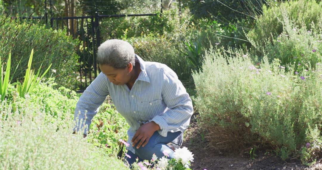 Elderly woman tending to garden on sunny day - Free Images, Stock Photos and Pictures on Pikwizard.com