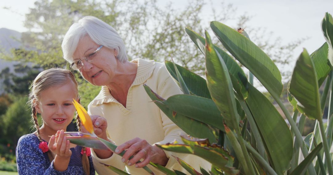 Senior Woman and Young Girl Examining Tropical Plant Together - Free Images, Stock Photos and Pictures on Pikwizard.com