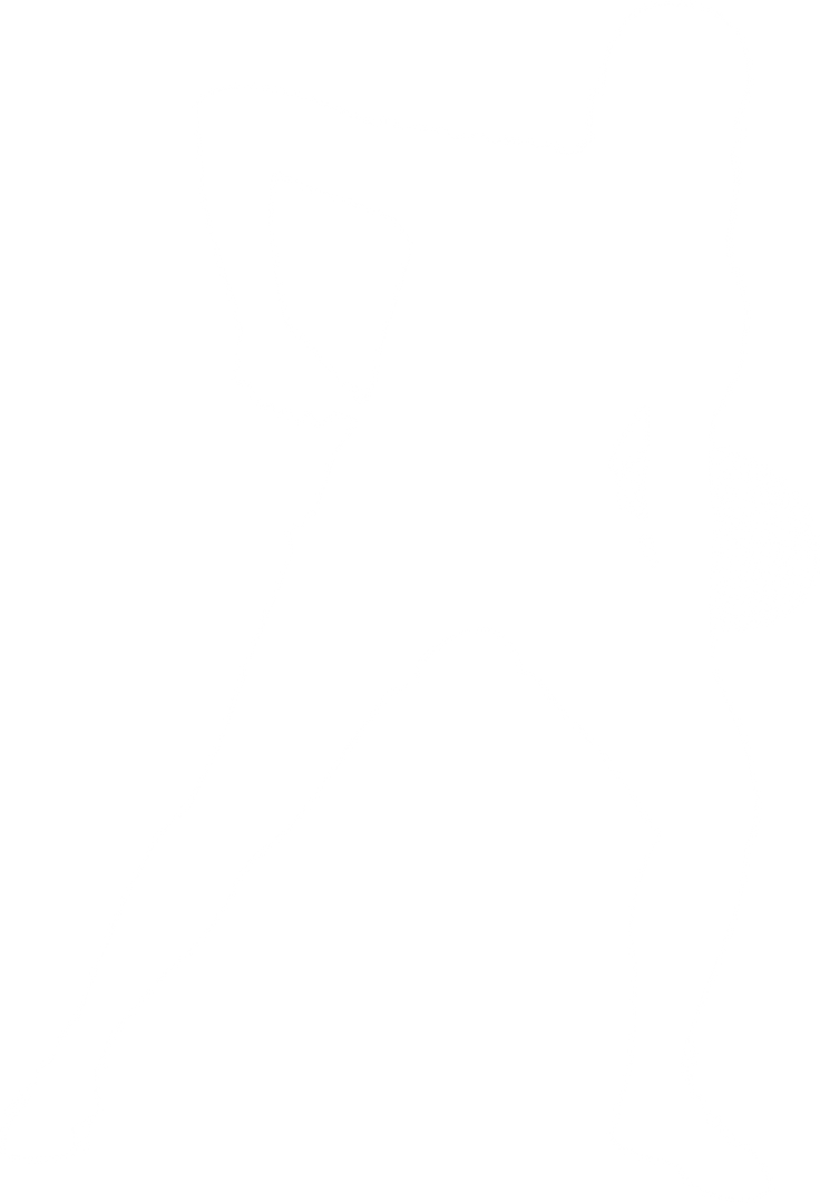 Transparent Silhouette of Female Badminton Player - Download Free Stock Images Pikwizard.com