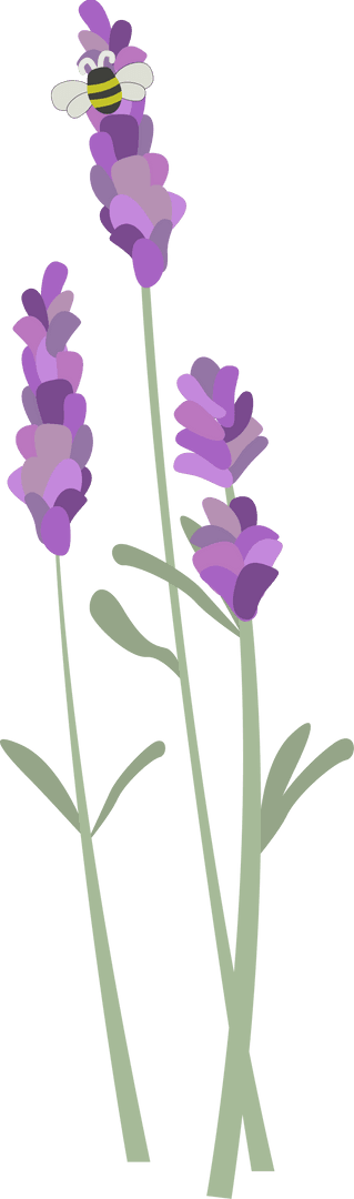 Flat Design Lavender Stems with Smiling Bee, Transparent Background