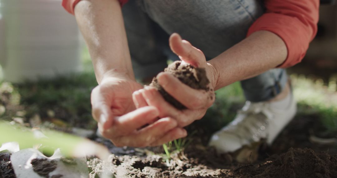 Hands Holding Soil in Garden Outdoors, Close Up - Free Images, Stock Photos and Pictures on Pikwizard.com