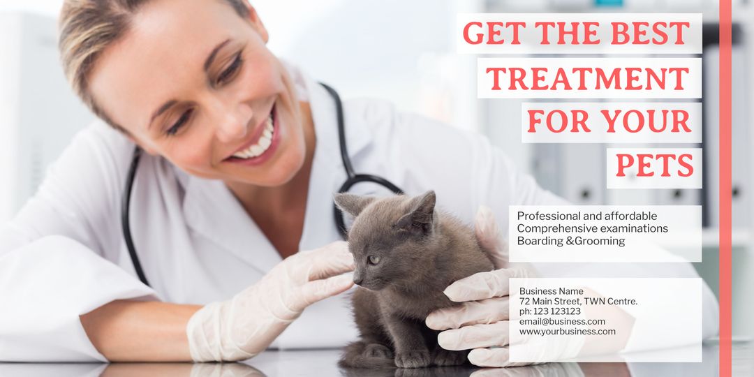 Compassionate Veterinarian Examines Cute Kitten for Pet Care Promotion