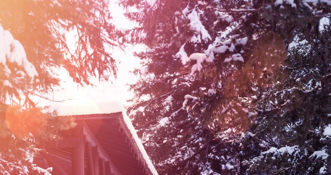 Snow-Covered House and Trees with Light Flare Winter Landscape