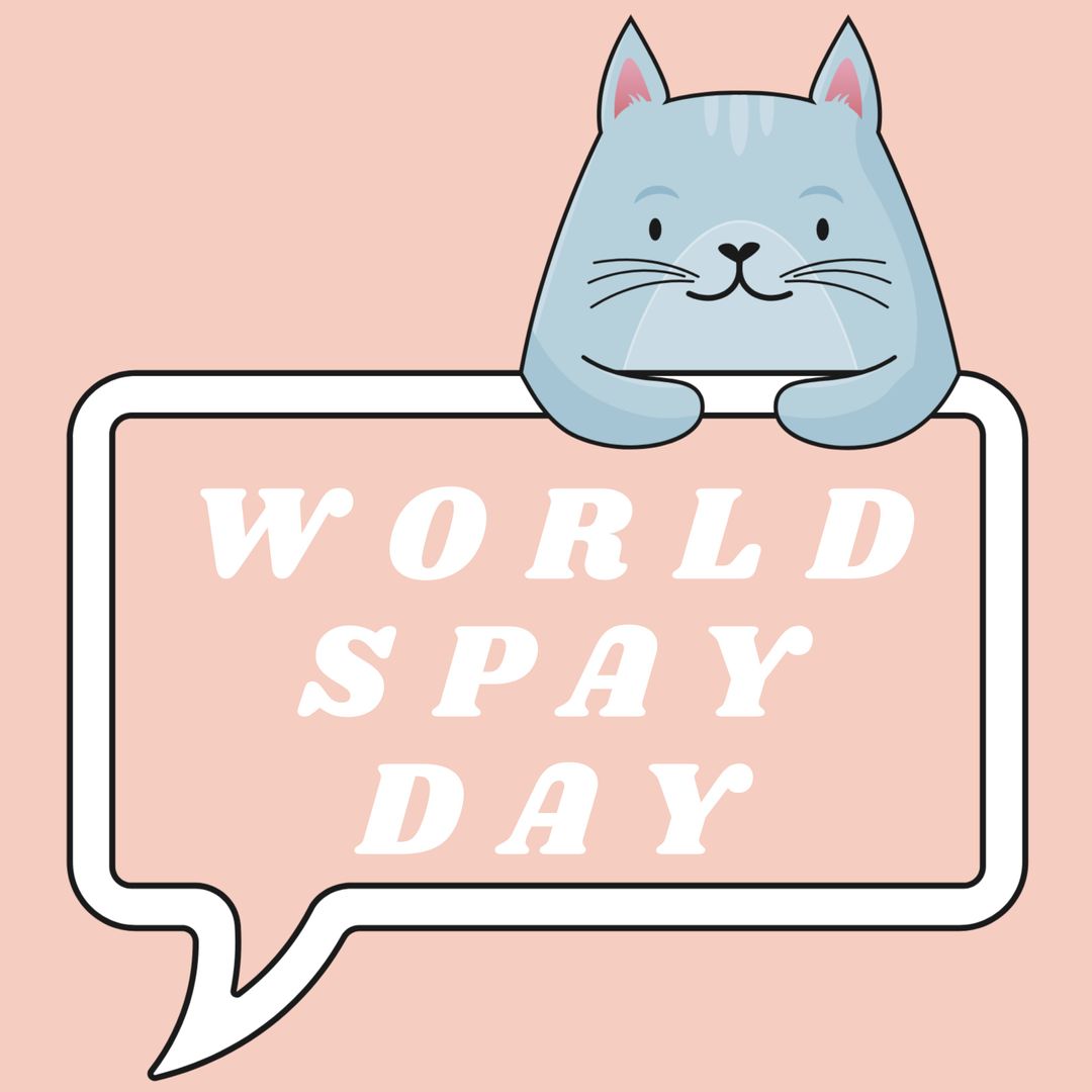 Cartoon Cat Promoting World Spay Day Awareness