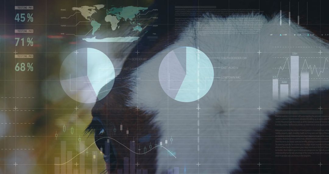 Pet Analytics Innovation: Dog Combined with Data Visualization