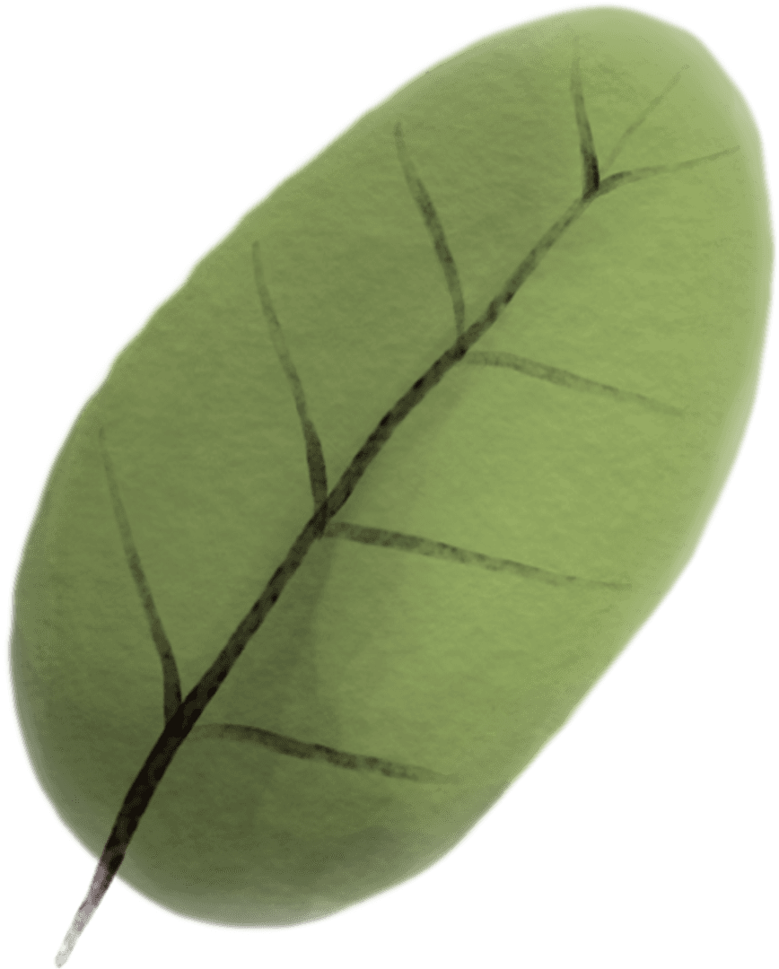 Green Leaf Illustration on Transparent Background