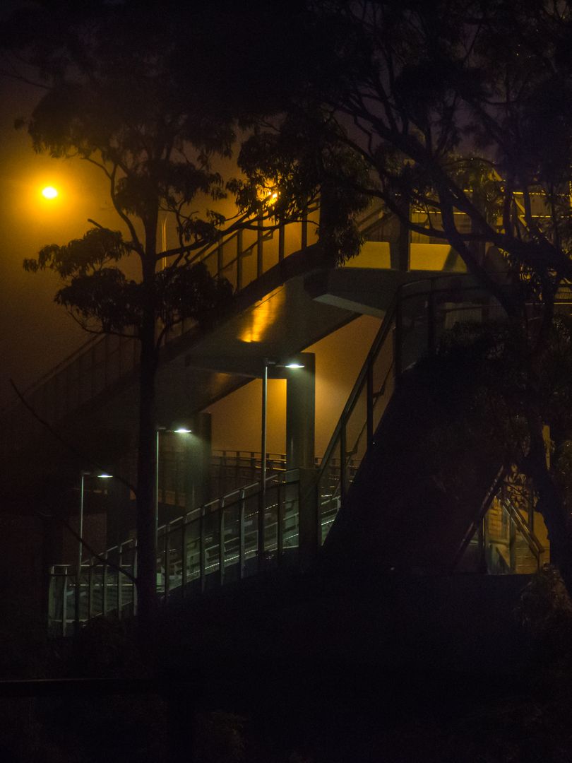 Misty Night Staircase with Streetlights and Tree Silhouettes - Free Images, Stock Photos and Pictures on Pikwizard.com