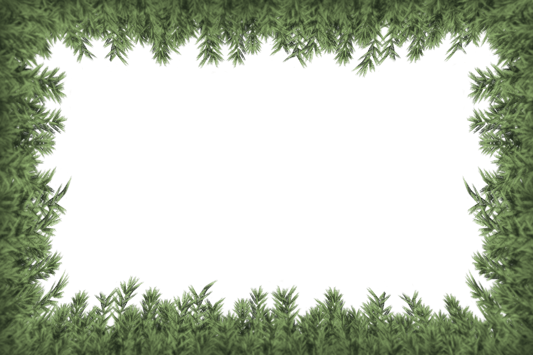 Fir Tree Branches Frame with Copy Space on Transparent Background - Download Free Stock Images Pikwizard.com