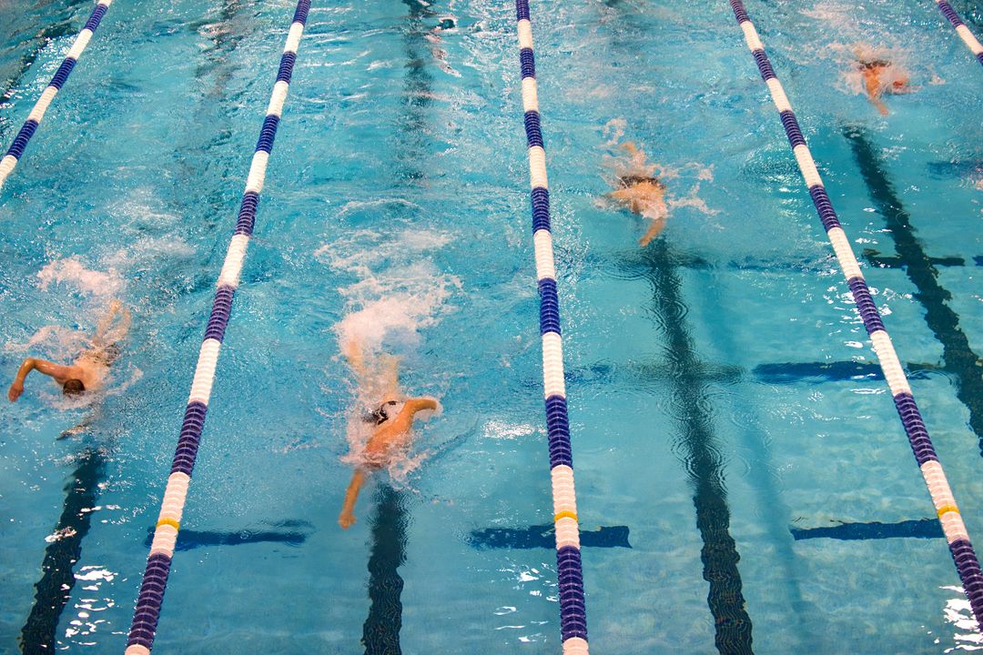 Swimmers competing in lanes during swimming competition - Free Images, Stock Photos and Pictures on Pikwizard.com