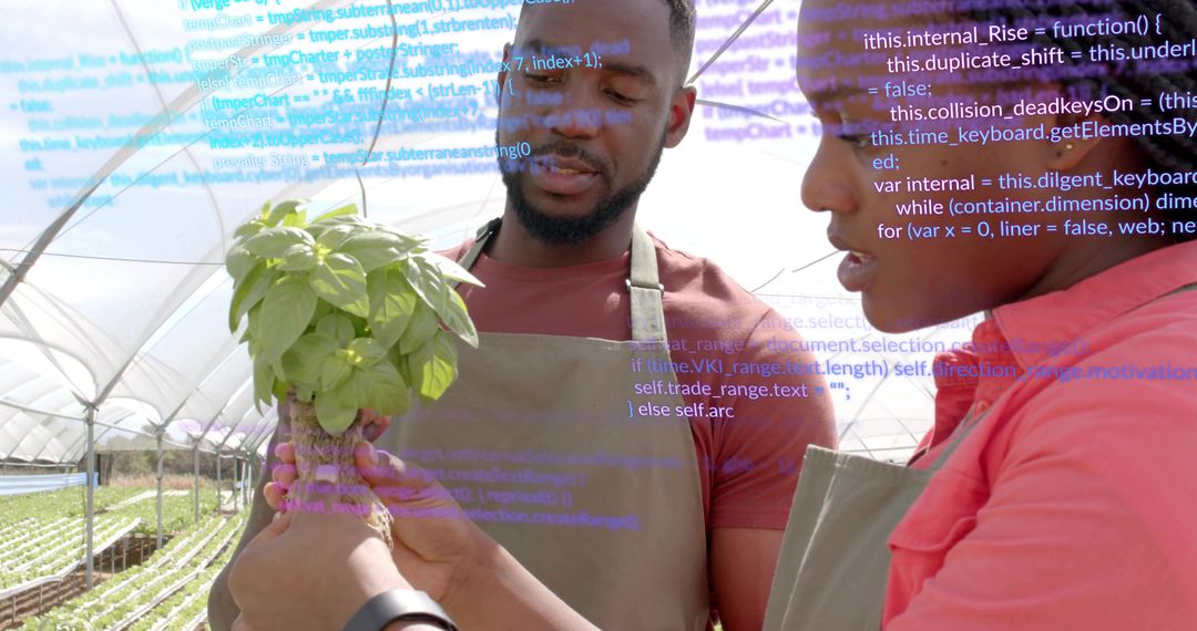 Analyzing Basil Seedlings in High-Tech Greenhouse Lab