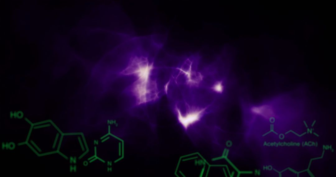 Visual Representation of Neuroscience Concepts
