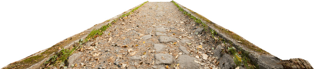 Vintage cobblestone road on transparent background visual