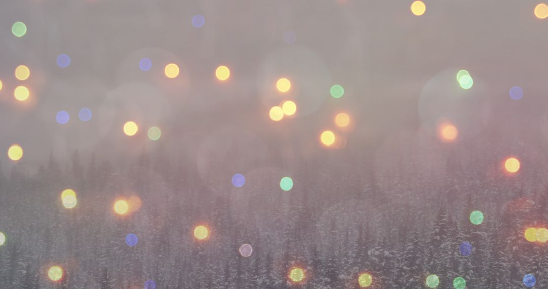 Colorful Fairy Lights Hovering Over Snowy Forest