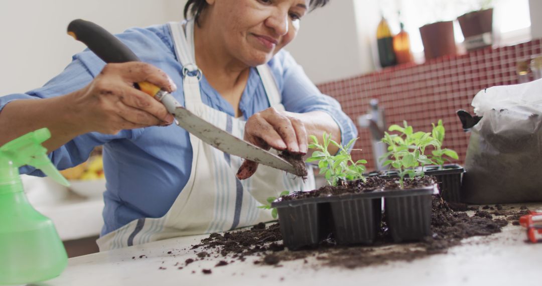 Senior woman gardening indoors with seedlings in trays - Free Images, Stock Photos and Pictures on Pikwizard.com