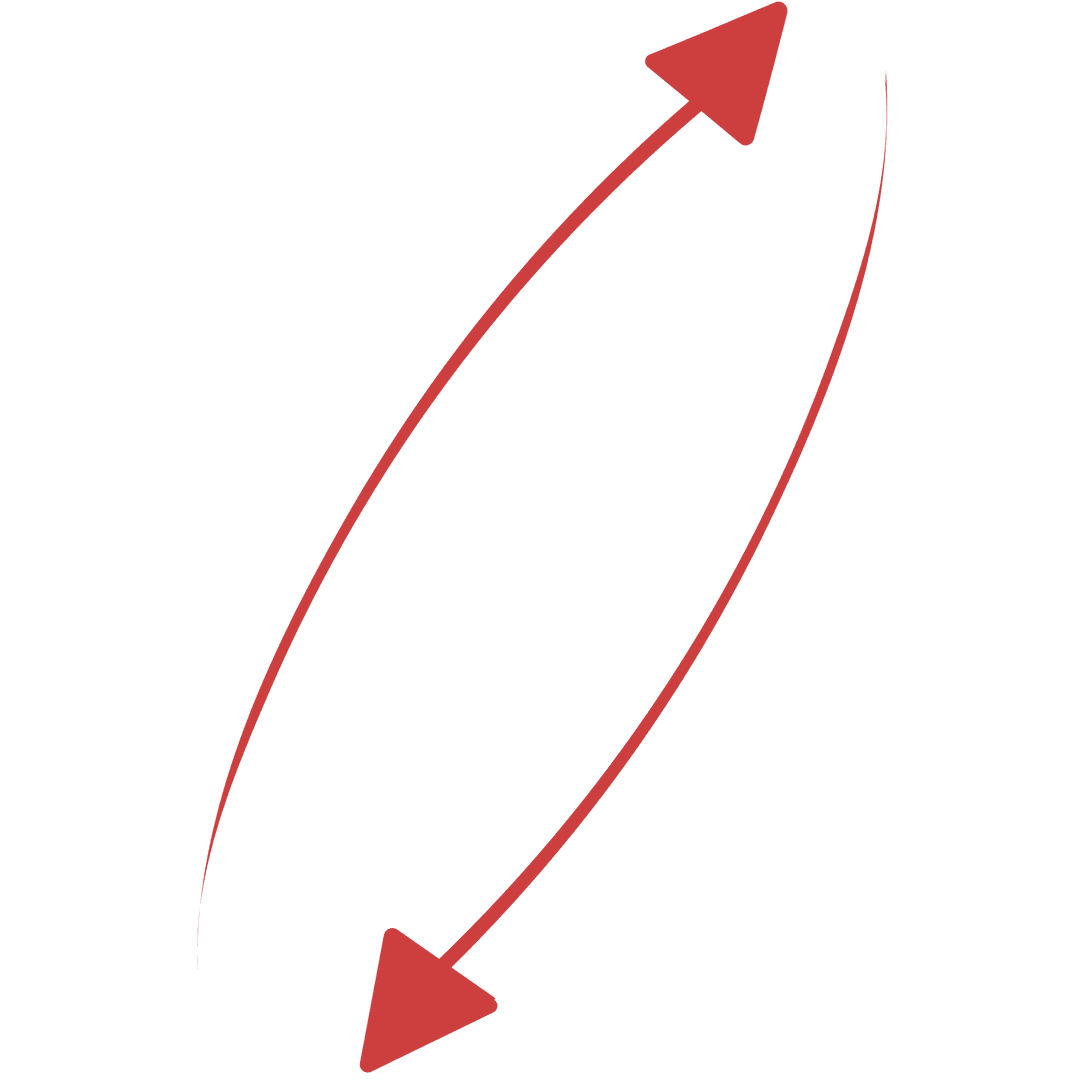 Red Arrow Pair Up and Down Transparent Background Illustration