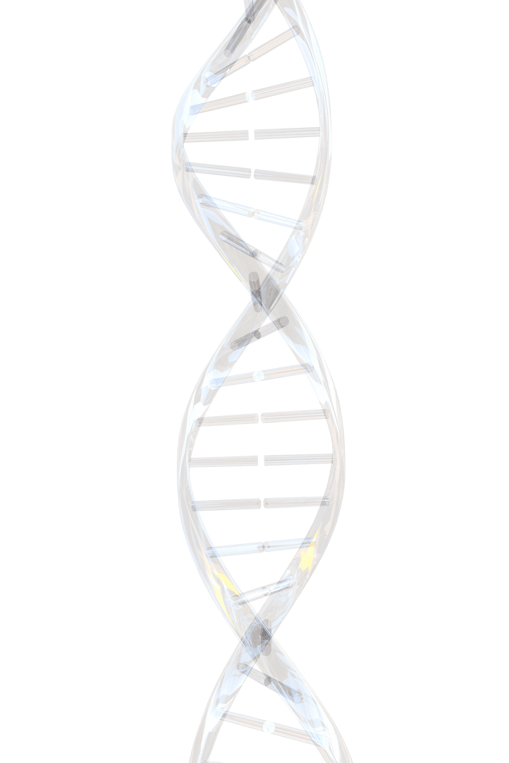 Digital Illustration of Isolated DNA Strand on Transparent Background