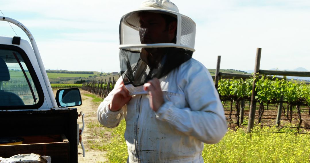 Beekeeper Preparing for Honey Harvest in a Lush Vineyard