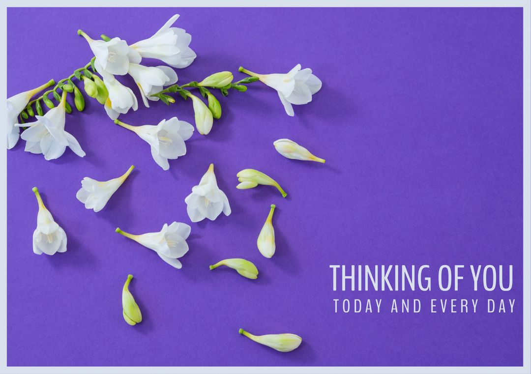 White Freesia Flowers on Purple for Sympathy and Support