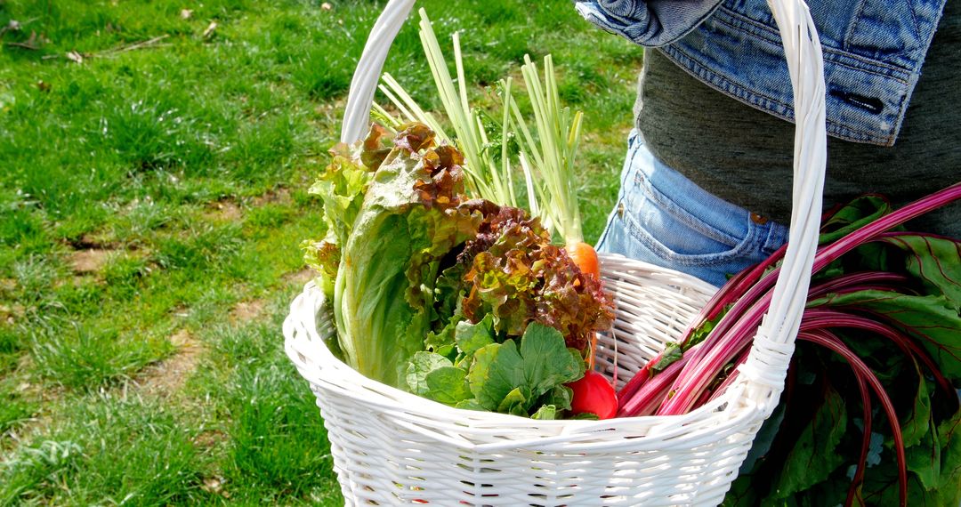 Person Harvesting Fresh Vegetables in White Wicker Basket - Free Images, Stock Photos and Pictures on Pikwizard.com