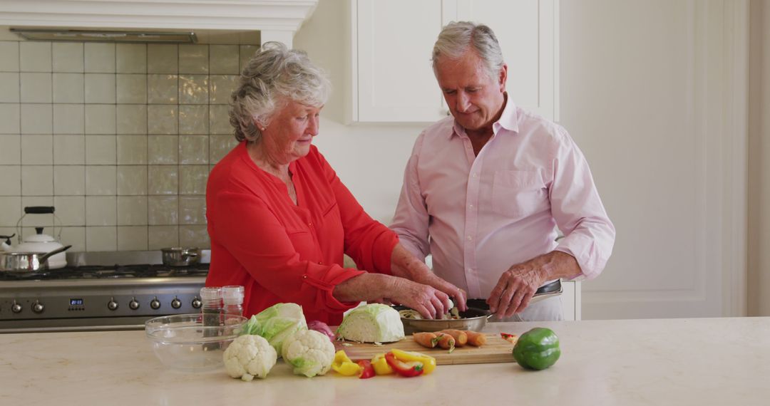 Elderly Couple Preparing Meal in Modern Kitchen - Free Images, Stock Photos and Pictures on Pikwizard.com