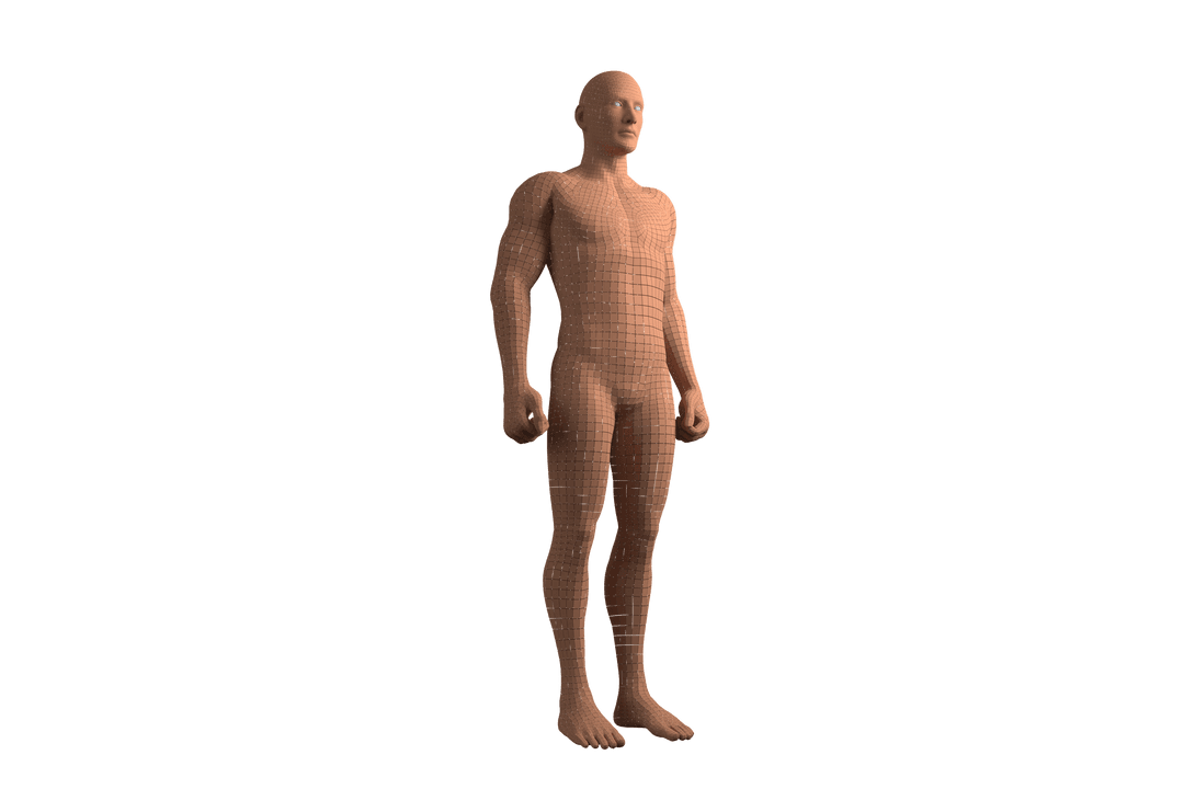 Transparent Digital Composite of 3D Human Model Reset