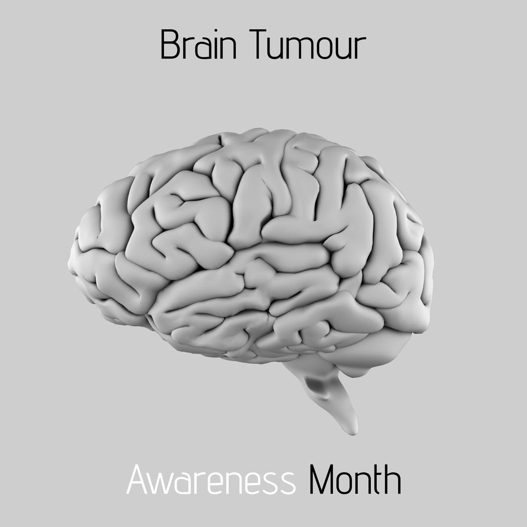 3D Brain Model Highlighting Brain Tumor Awareness