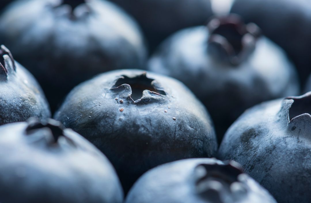 Macro View of Fresh Blueberries Dominating Frame
