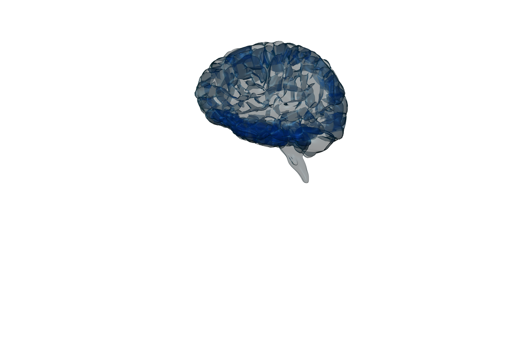 Blue Digital Brain on Transparent Background for Intelligence Concept - Download Free Stock Images Pikwizard.com