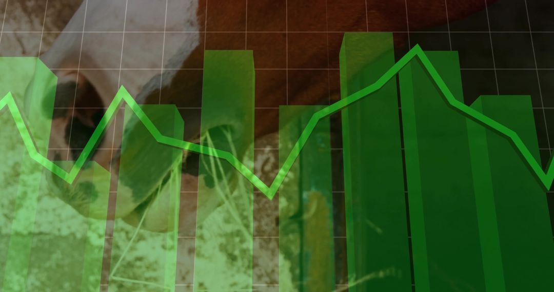 Cattle Market Data Overlaying Green Bar Chart and Line Graph for Agribusiness Trends