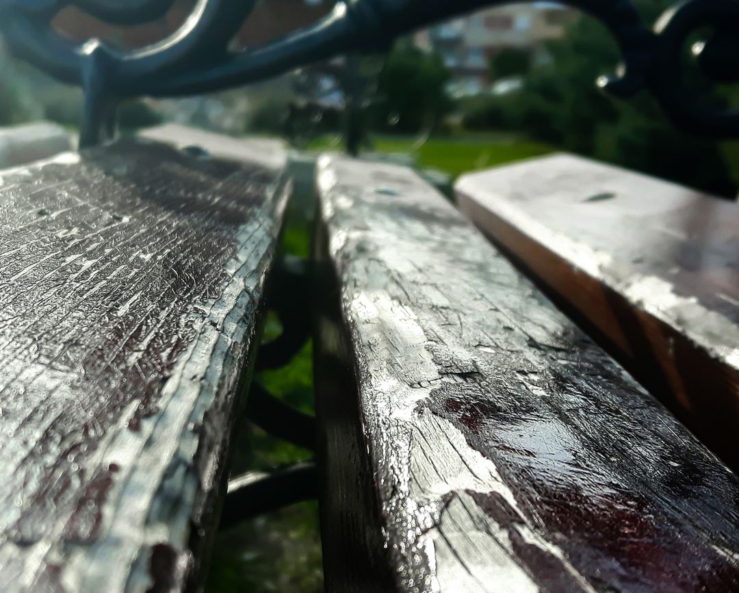 Sunlight Hitting Long Wooden Garden Bench Close-up - Free Images, Stock Photos and Pictures on Pikwizard.com