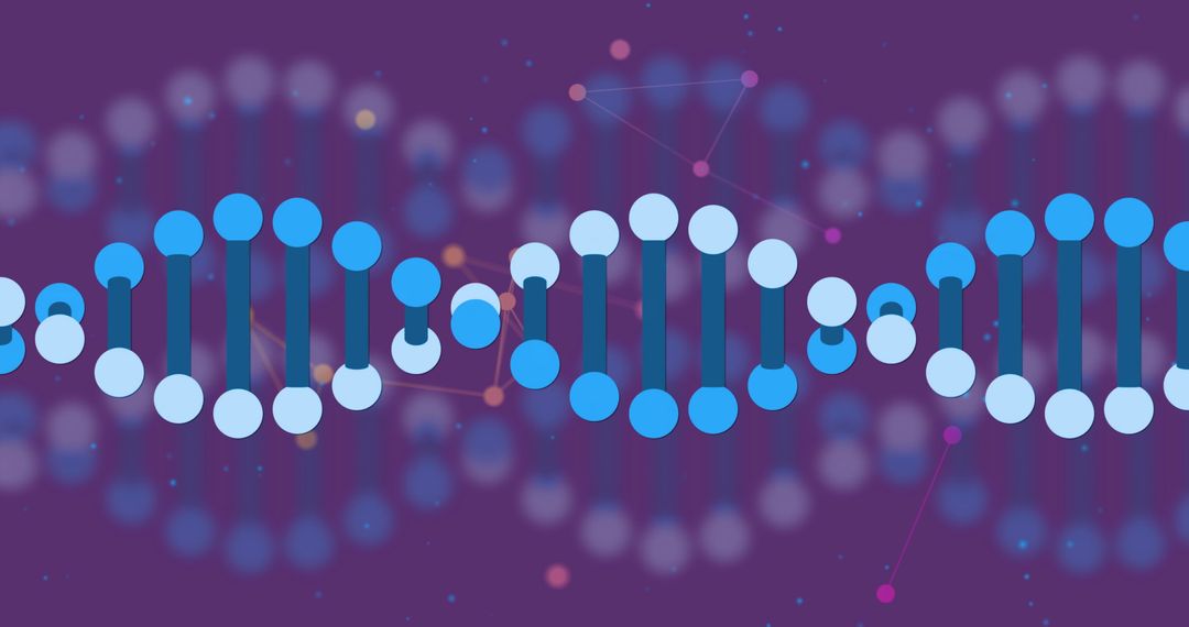 Digital Representation of DNA Strand with Network Connections