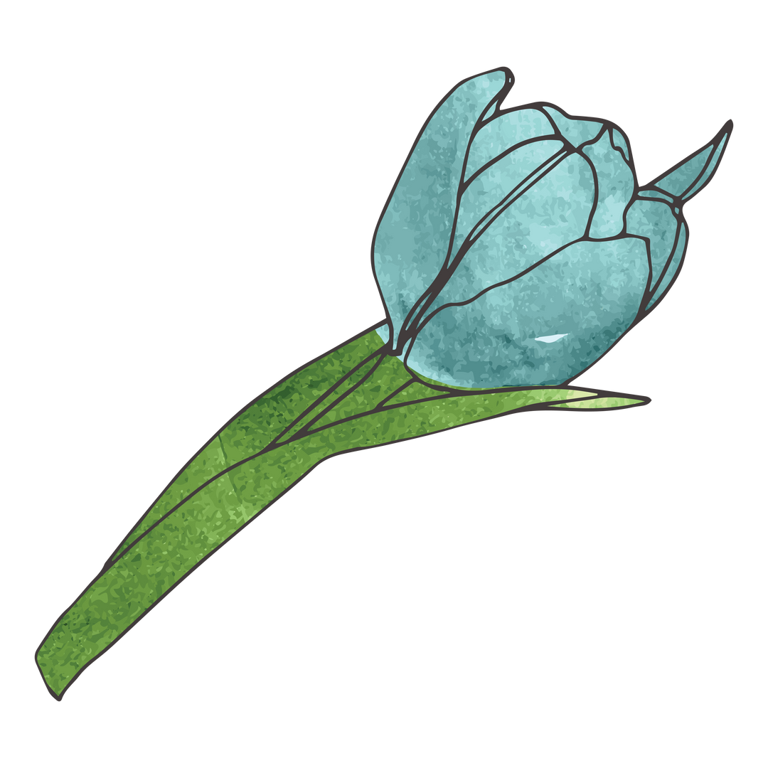 Blue abstract flower on transparent background, isolated digital vector illustration - Download Free Stock Images Pikwizard.com