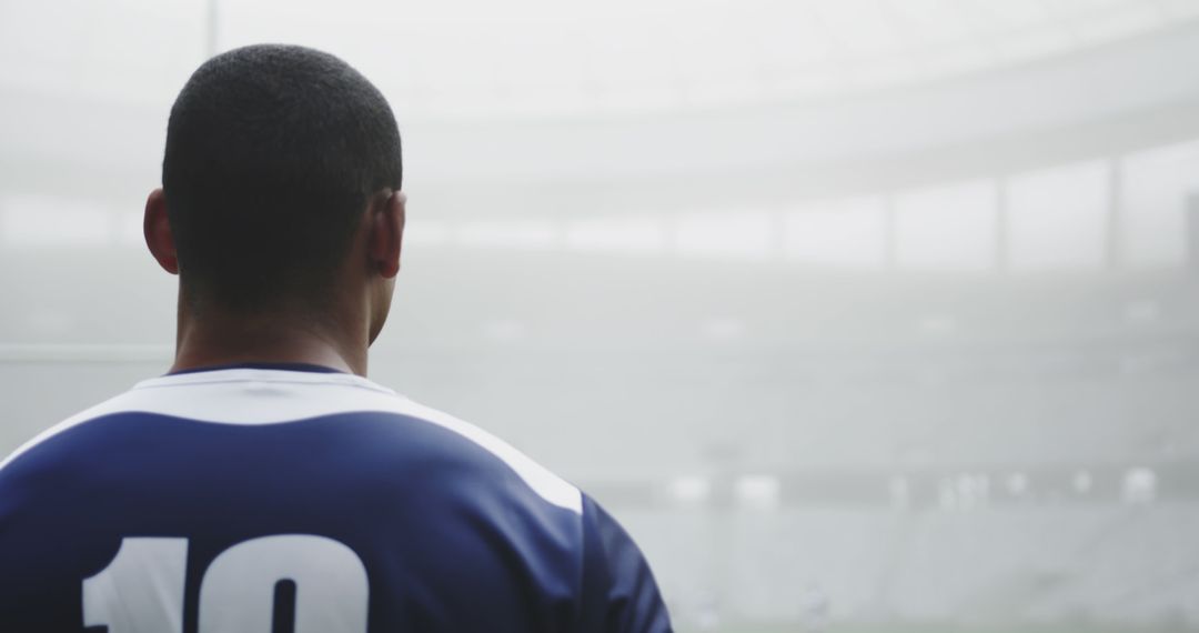 Back View of Rugby Player in Stadium Wearing Number 10 Jersey - Free Images, Stock Photos and Pictures on Pikwizard.com