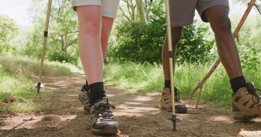 Close-up of Two Hikers on Forest Path with Trekking Poles - Free Images, Stock Photos and Pictures on Pikwizard.com