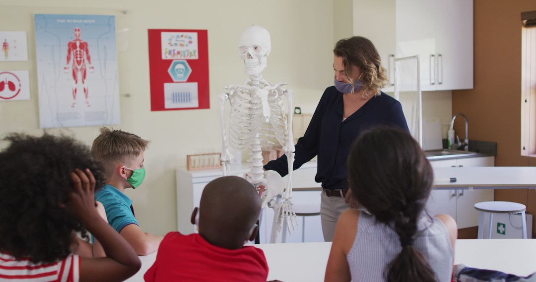 Teacher Explaining Human Skeleton to Inquisitive Students in Classroom - Free Images, Stock Photos and Pictures on Pikwizard.com