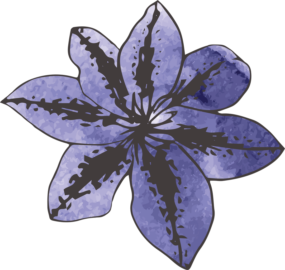 Vibrant Purple and Black Flower Art on Transparent Background - Download Free Stock Images Pikwizard.com