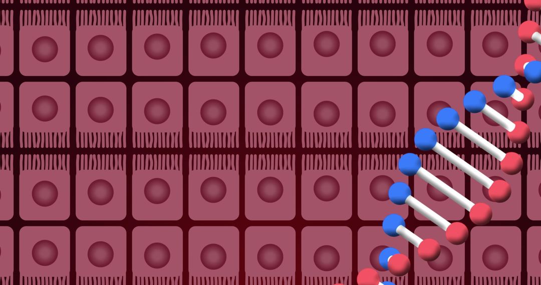 Abstract Digital DNA Over Cells Conceptual Design