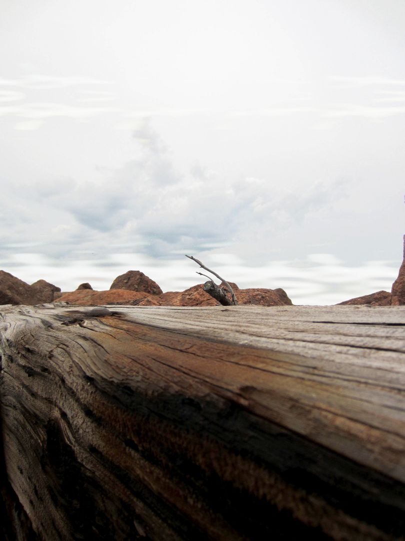 Weathered Wood Log in Rocky Desert Under Cloudy Sky - Free Images, Stock Photos and Pictures on Pikwizard.com