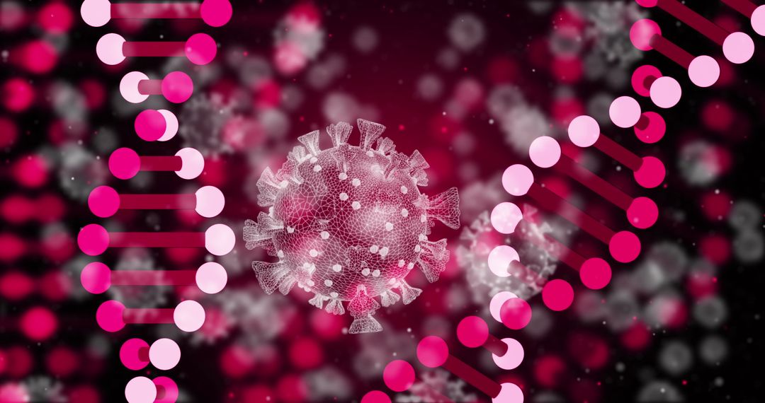 Digital Virus and DNA Helix Composition