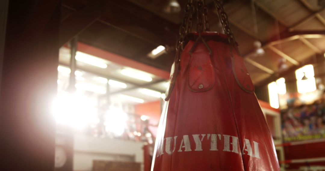 Muay Thai Punching Bag in a Sunlit Boxing Gym - Free Images, Stock Photos and Pictures on Pikwizard.com