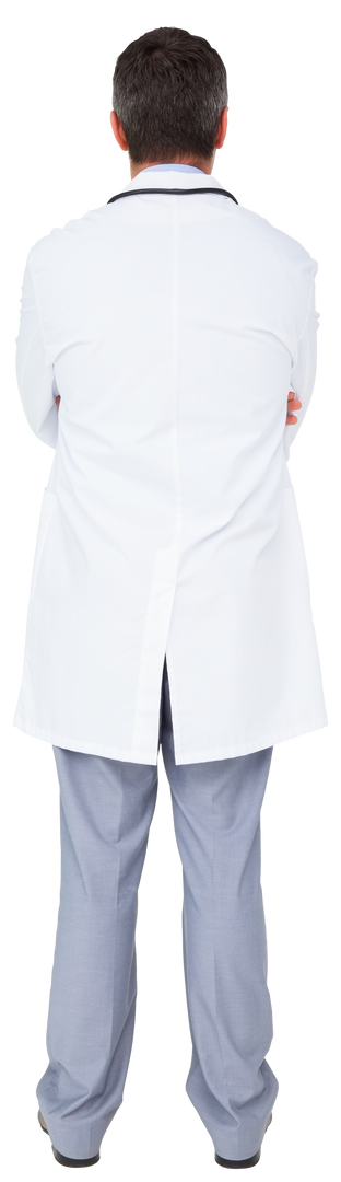 Transparent Male Doctor Standing Back Healthcare Vector - Download Free Stock Images Pikwizard.com