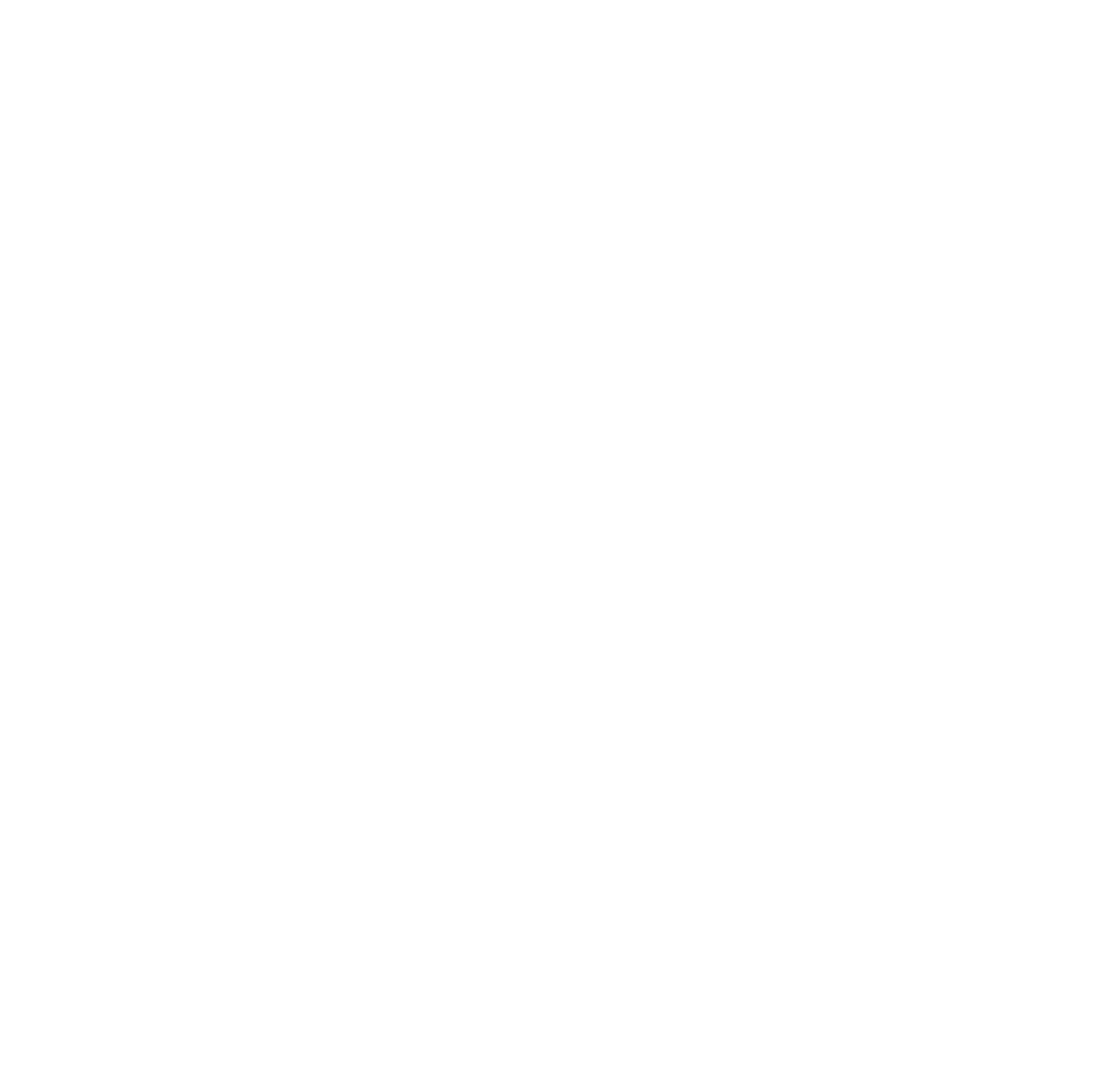 Man Lifting Barbell Silhouette Vector on Transparent Background - Download Free Stock Images Pikwizard.com